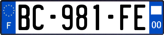 BC-981-FE
