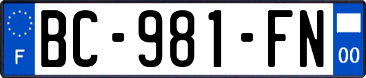 BC-981-FN