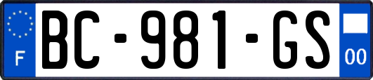 BC-981-GS