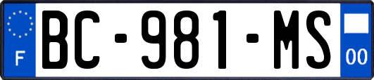 BC-981-MS