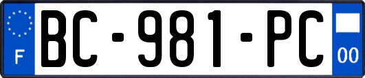 BC-981-PC