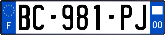 BC-981-PJ