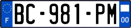 BC-981-PM