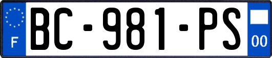 BC-981-PS