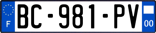 BC-981-PV