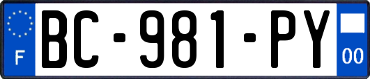 BC-981-PY