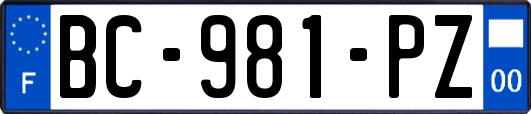 BC-981-PZ