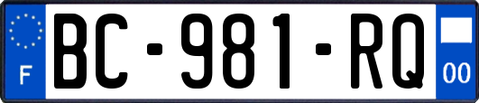 BC-981-RQ