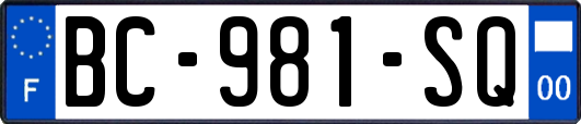 BC-981-SQ