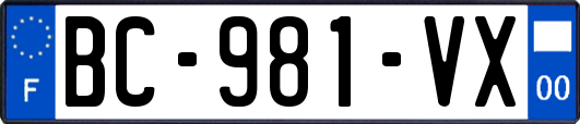 BC-981-VX