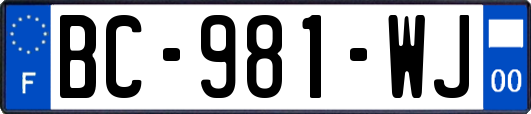 BC-981-WJ