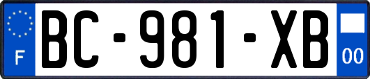 BC-981-XB