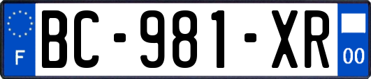 BC-981-XR