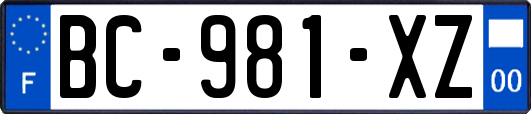 BC-981-XZ