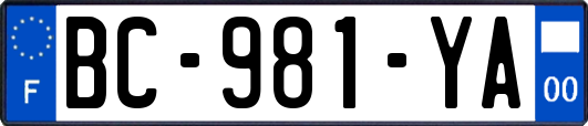 BC-981-YA