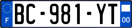 BC-981-YT