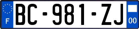 BC-981-ZJ