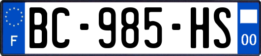 BC-985-HS
