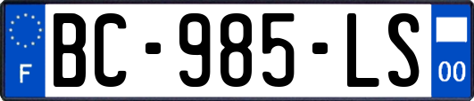 BC-985-LS