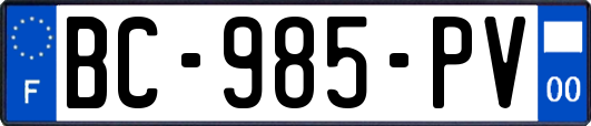 BC-985-PV