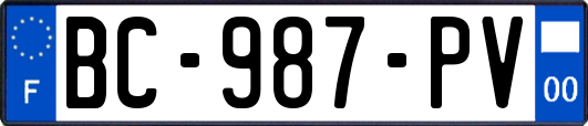 BC-987-PV