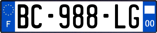 BC-988-LG