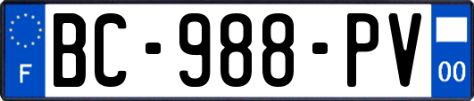 BC-988-PV