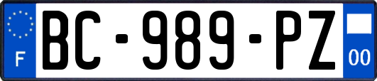 BC-989-PZ