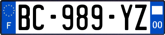 BC-989-YZ