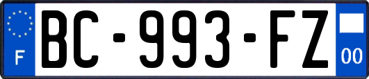BC-993-FZ