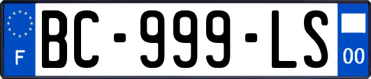 BC-999-LS