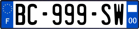 BC-999-SW