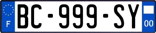 BC-999-SY