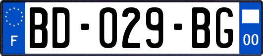 BD-029-BG