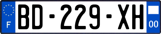 BD-229-XH