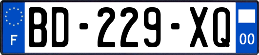 BD-229-XQ