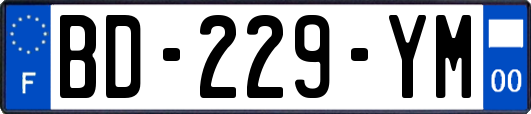 BD-229-YM