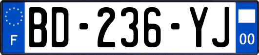 BD-236-YJ