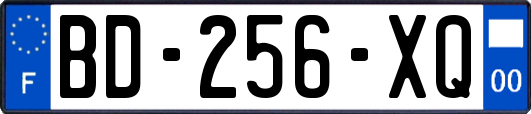 BD-256-XQ