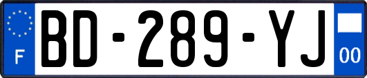 BD-289-YJ