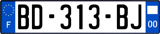 BD-313-BJ