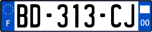 BD-313-CJ