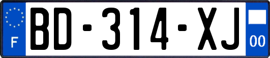BD-314-XJ