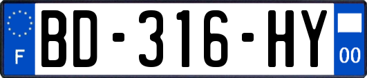 BD-316-HY