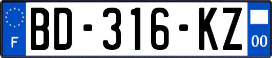 BD-316-KZ
