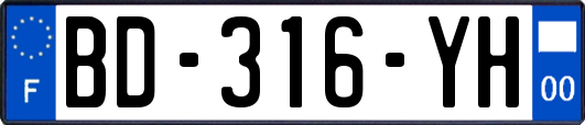 BD-316-YH
