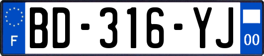 BD-316-YJ