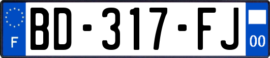 BD-317-FJ
