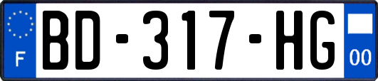 BD-317-HG