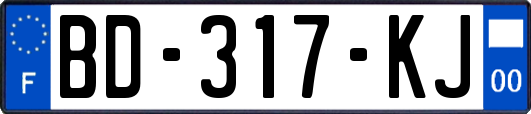 BD-317-KJ